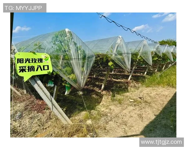 果园生态种植与可持续发展探索:从土壤管理到果品品质提升的综合路径