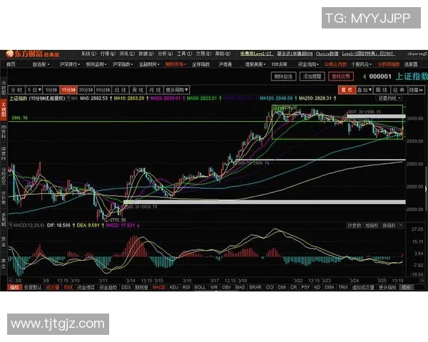 广州乒乓球队与上海乒乓球队赛后复盘分析比赛节奏与战术对决