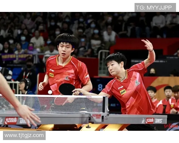 成都乒乓球队团队协作能力显著提升创新高排名引发广泛关注