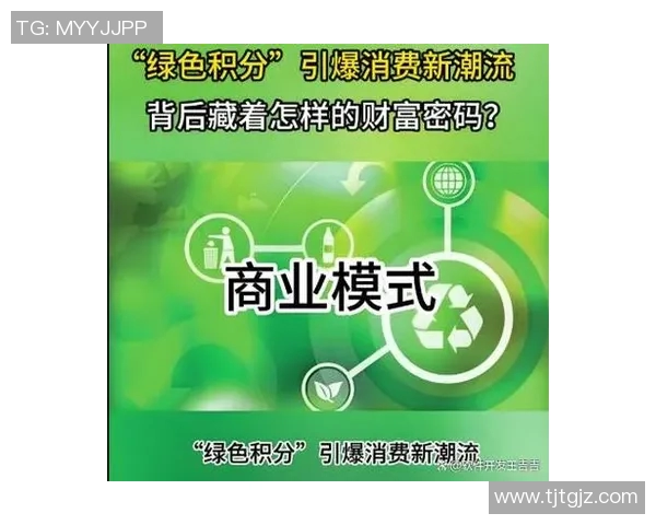 以积分体系为核心探讨消费者行为与商业模式创新的多维度关系分析