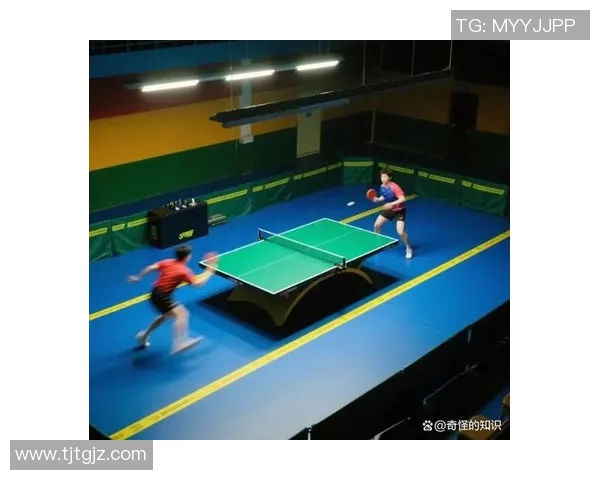南京乒乓球队进攻战术揭秘深度分析乒乓球的技巧与策略