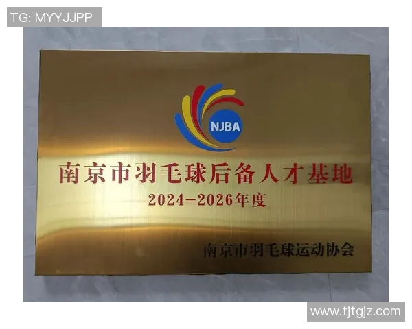 南京羽毛球队的精神与发展：探索羽毛球运动的魅力与团队意识